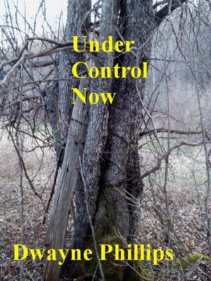 cover image of Under Control Now